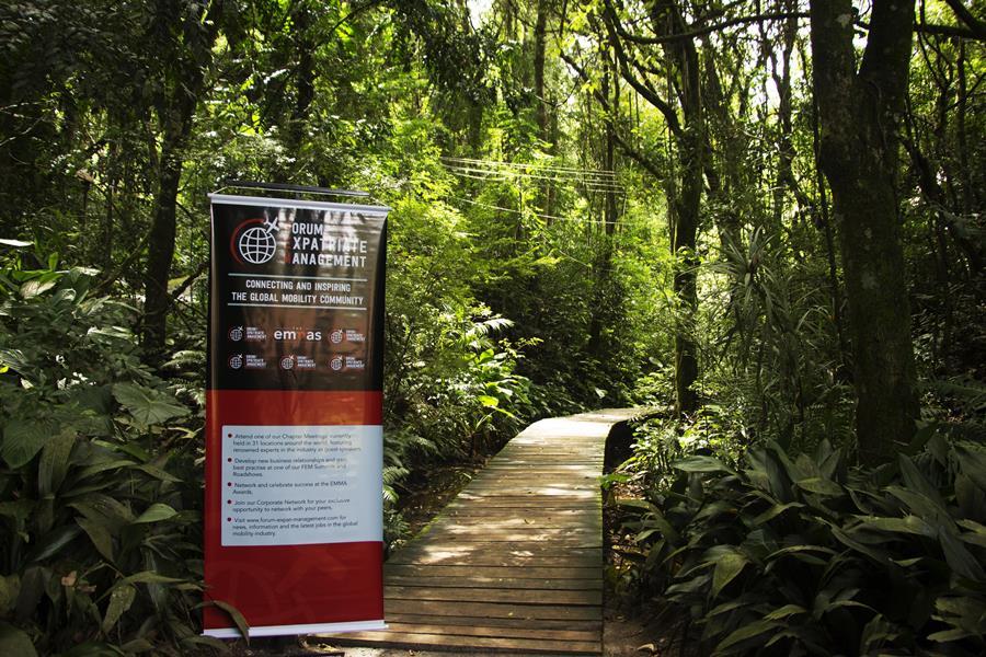 Brazilian Scenario for Expatriates - Regulations Trends and Challenges